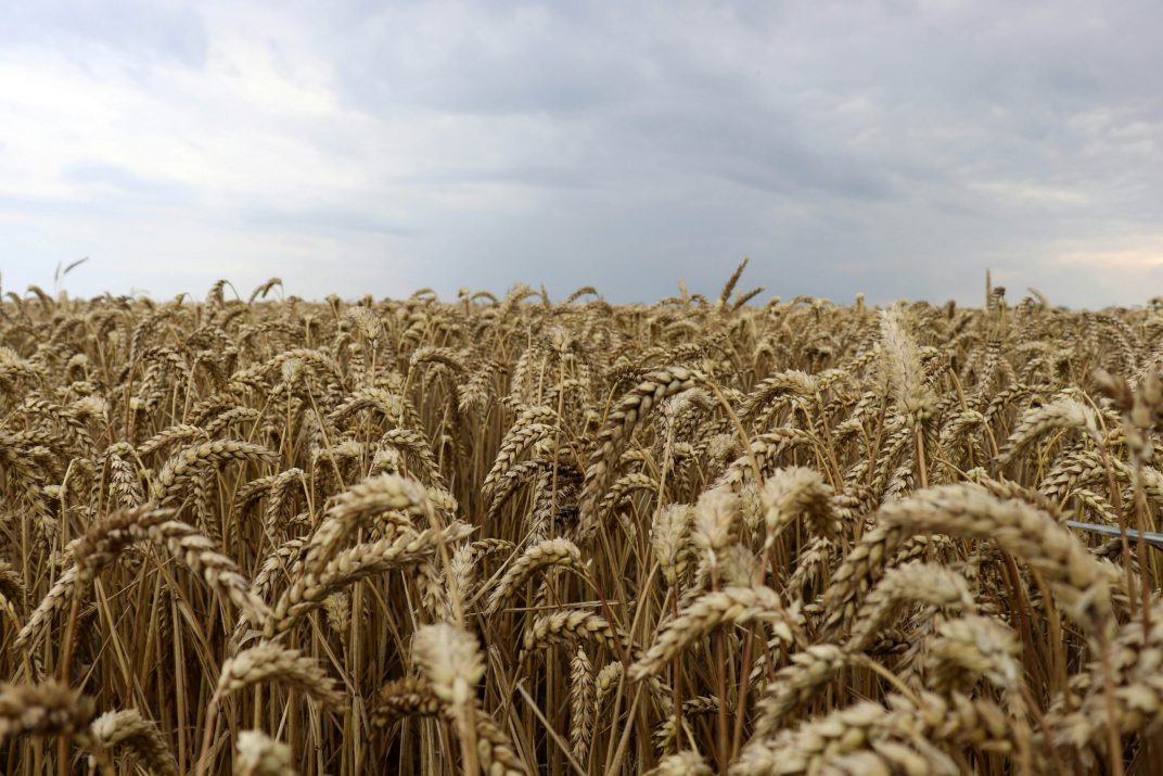 alix-guerin-6zmo3n3lgyk-unsplash