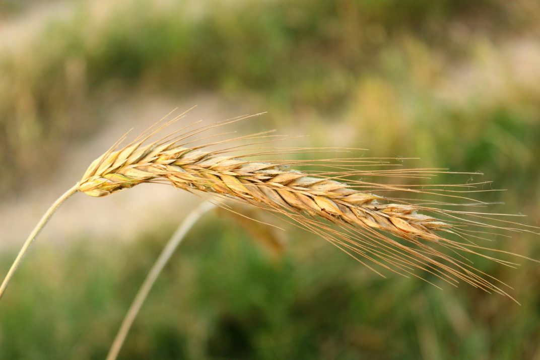 mustafa-akin-hacixbq70p4-unsplash